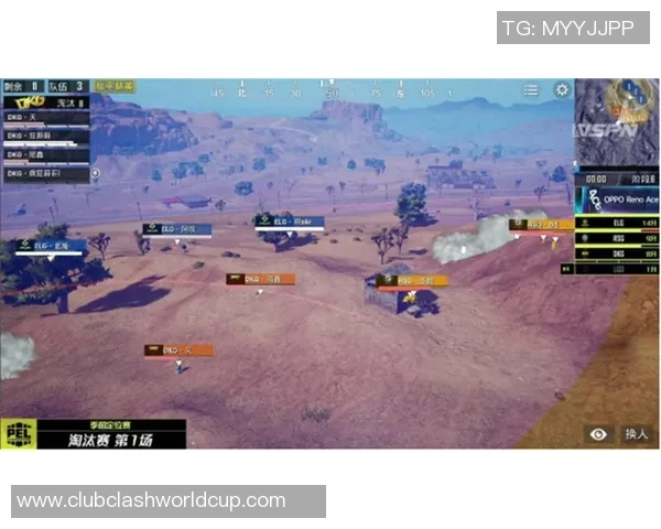 和平精英赛事分析：FPX战队运营策略的成功与不足之处探讨